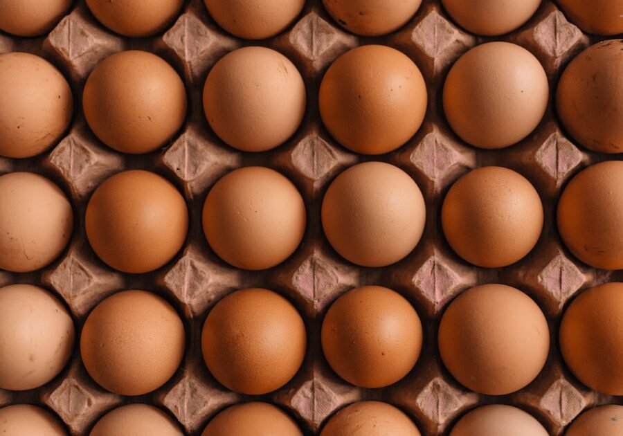 Guia das sementes: chia, linhaça, gergelim e seus benefícios