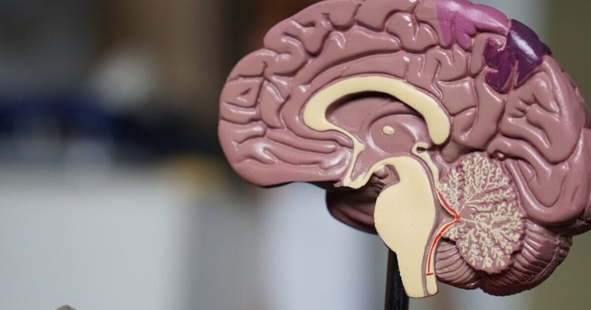 Pressão arterial alta: o que é, causas, sintomas e como controlar com alimentação